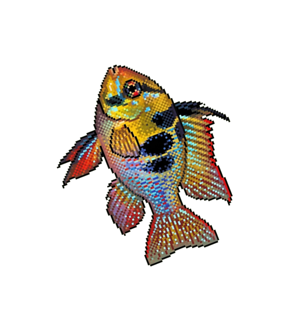 German blue ram